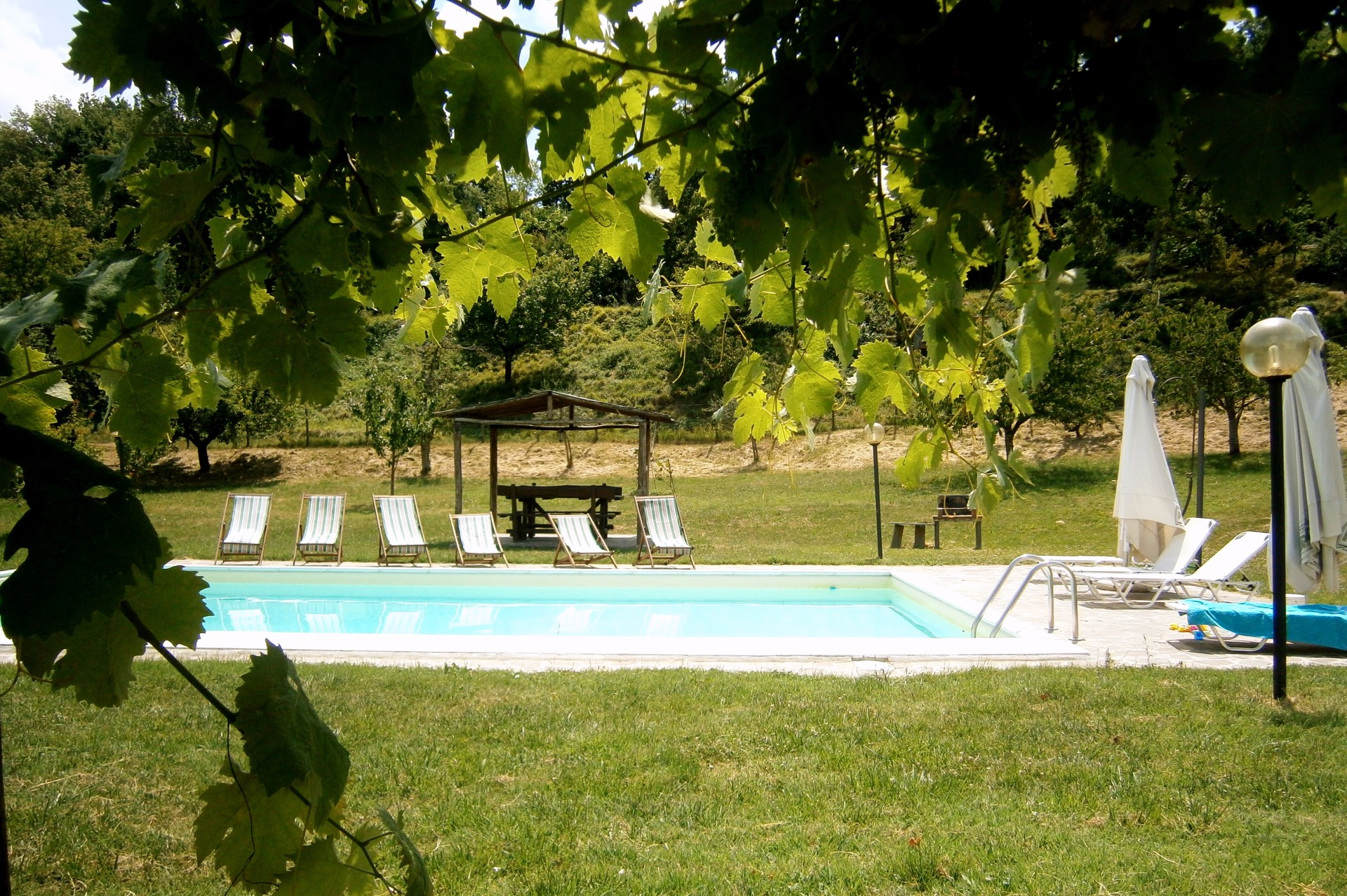 La piscina esterna, nel giardino dell'agriturismo Il Muretto, Mugello